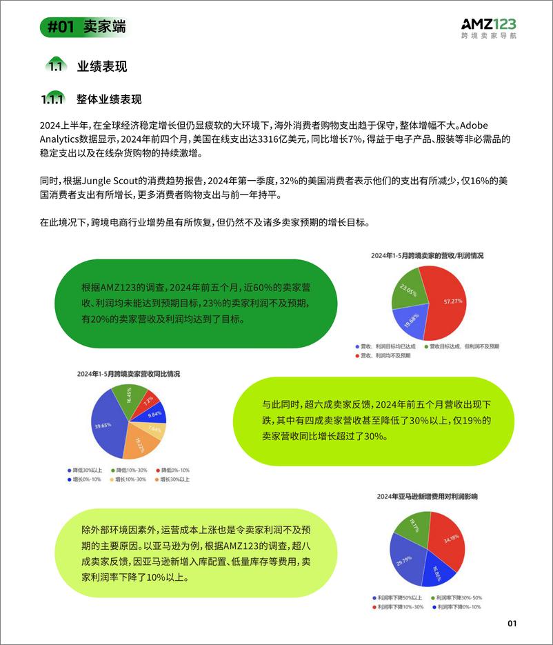 《2024上半年度跨境电商调研报告-AMZ123-2024-37页》 - 第5页预览图