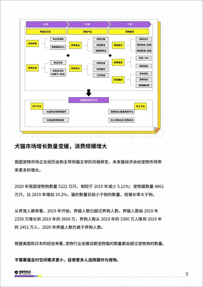 《Z世代养宠：2021汪星人洞察报告-32页》 - 第8页预览图