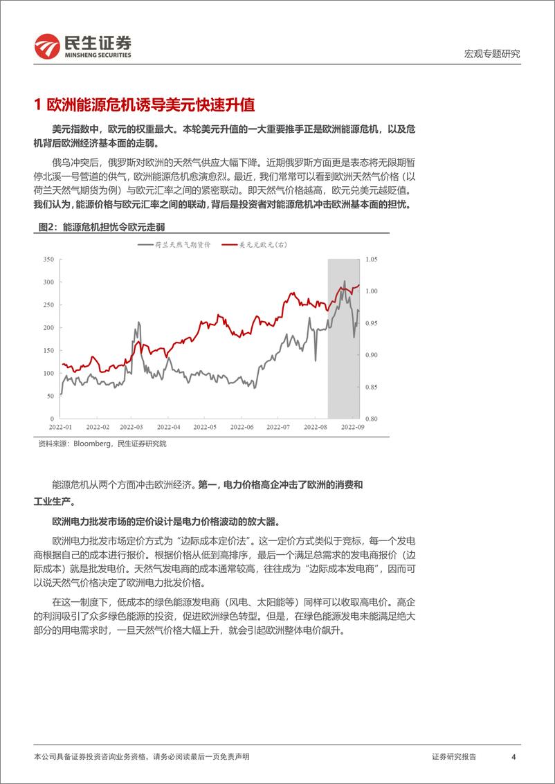 《宏观专题研究：美元指数110后往哪去？-20220919-民生证券-16页》 - 第5页预览图