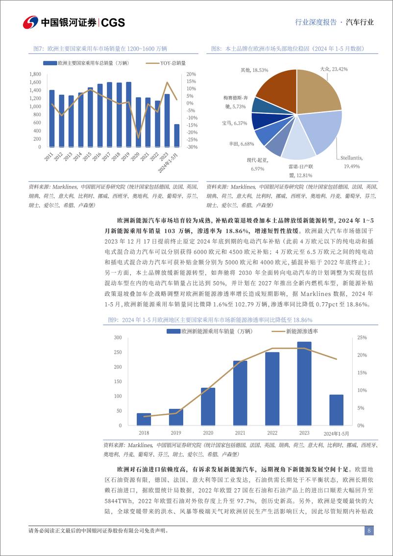 《中资出海专题系列研究_新能源汽车产业链__乘新能源之势_塑海外产业集群-中国银河-1》 - 第8页预览图