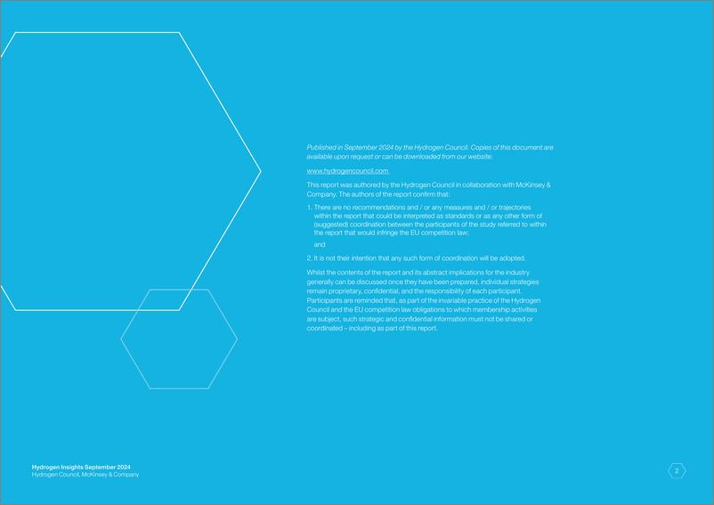 《2024年氢能洞察报告_英文版_》 - 第2页预览图