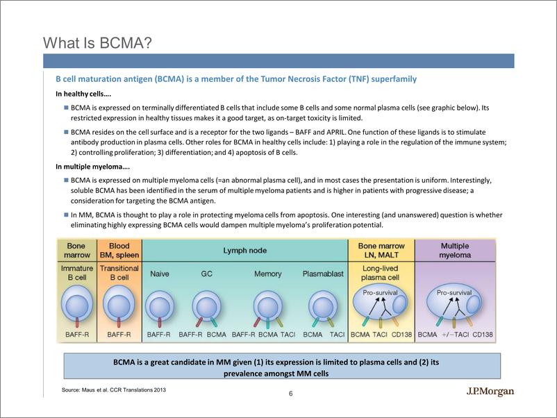 《J.P. 摩根-美股-生物科技行业-摩根大通生物科技研究：BCMA深度研究-2019.4-99页》 - 第7页预览图