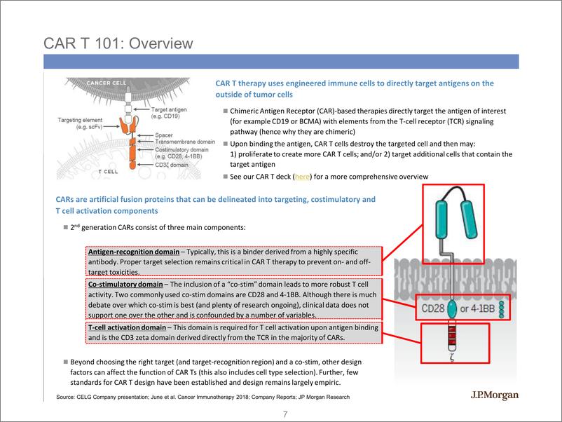 《J.P. 摩根-美股-生物科技行业-摩根大通生物科技研究：BCMA深度研究-2019.4-99页》 - 第8页预览图