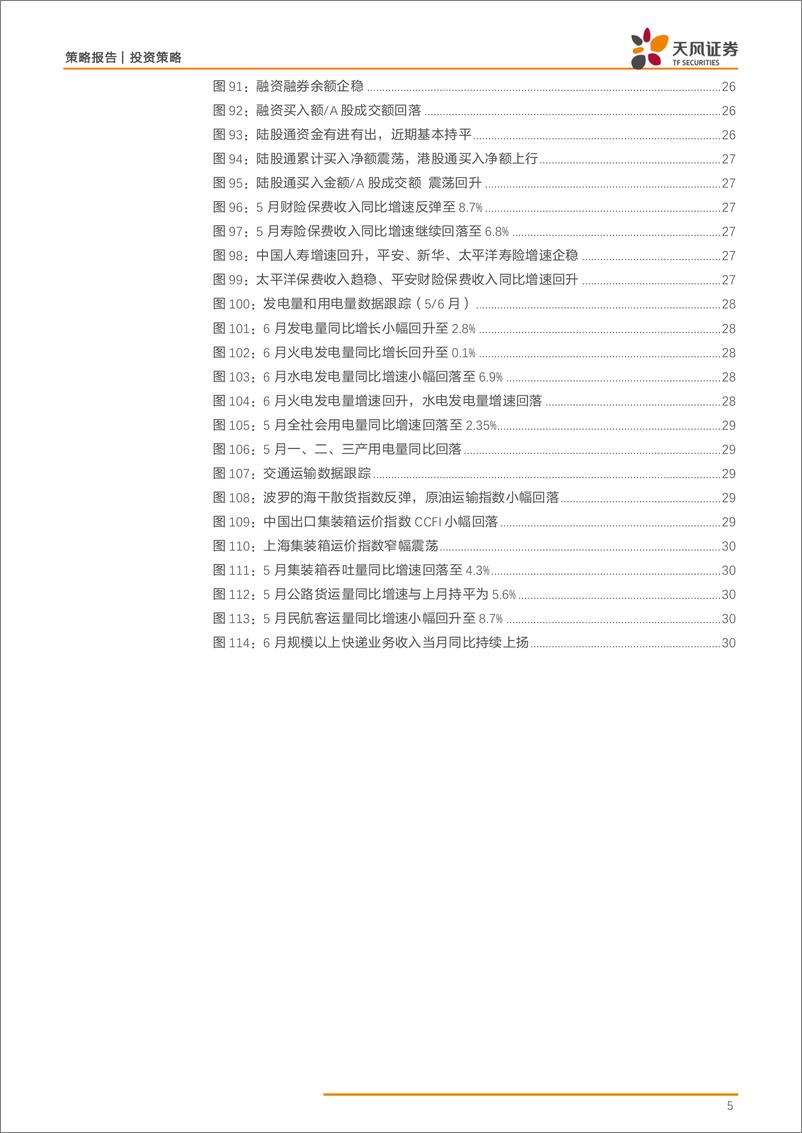 《策略·行业景气：费城半导体指数震荡回升，BDI指数持续走强-20190717-天风证券-31页》 - 第6页预览图