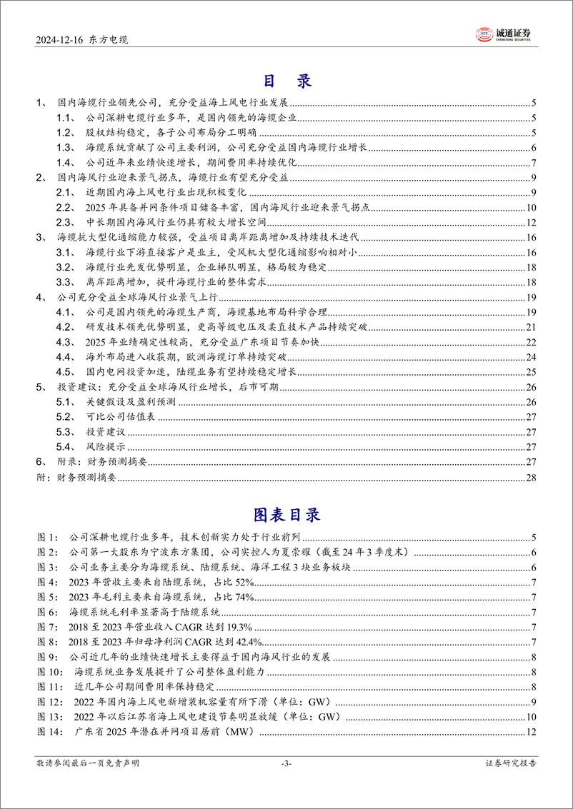 《东方电缆(603606)首次覆盖报告：海缆业务领先优势持续巩固，受益国内海上风电景气向上-241216-诚通证券-32页》 - 第3页预览图