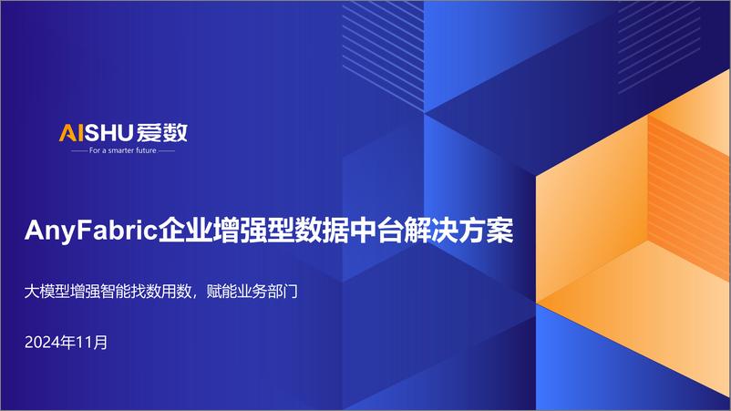 《2024年AnyFabric企业增强型数据中台解决方案》 - 第1页预览图