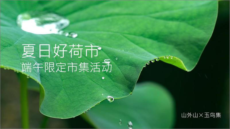 《夏日好荷市端午限定荷主题市集【端午节活动】》 - 第1页预览图