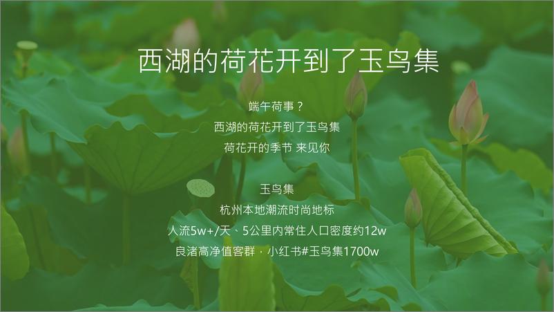 《夏日好荷市端午限定荷主题市集【端午节活动】》 - 第2页预览图