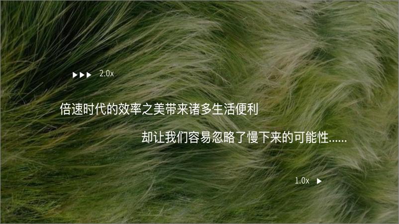 《夏日好荷市端午限定荷主题市集【端午节活动】》 - 第3页预览图