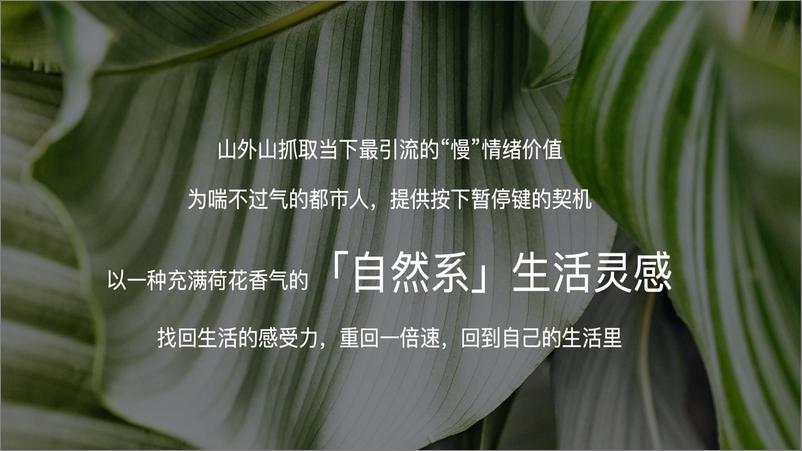 《夏日好荷市端午限定荷主题市集【端午节活动】》 - 第5页预览图