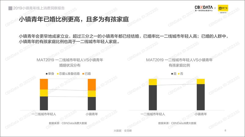 《2019小镇青年线上消费洞察报告》 - 第8页预览图