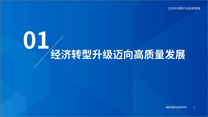 《消费行业消费大组专题报告-2025年消费投资策略：消费的春天-国泰君安-241218-76页》 - 第4页预览图