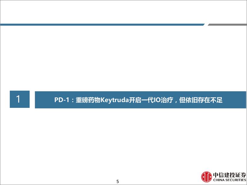 《医药行业双抗系列报告之二：二代IO药物，后PD-1／PD-L1时代的重要投资机会-240707-中信建投-60页》 - 第5页预览图