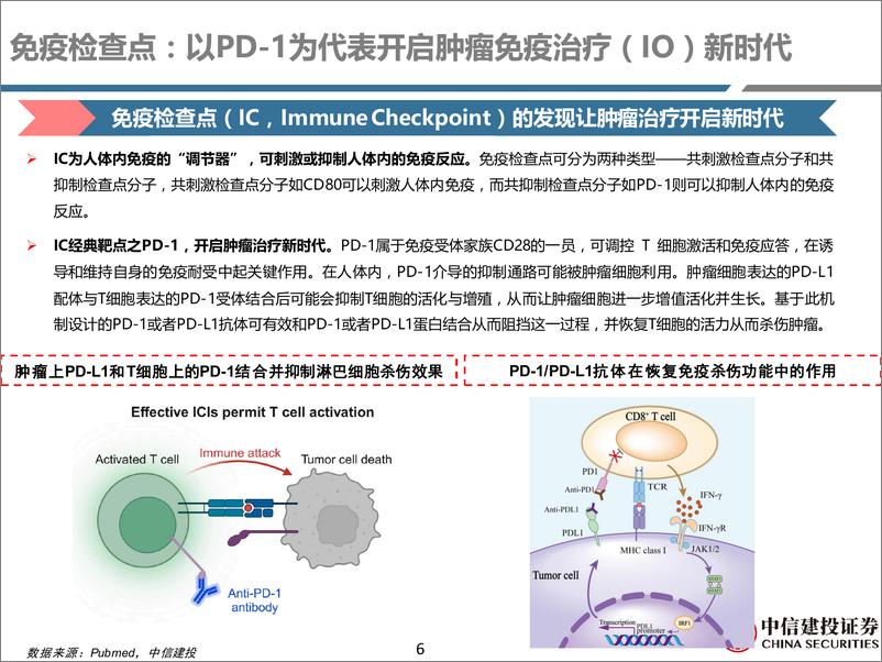 《医药行业双抗系列报告之二：二代IO药物，后PD-1／PD-L1时代的重要投资机会-240707-中信建投-60页》 - 第6页预览图