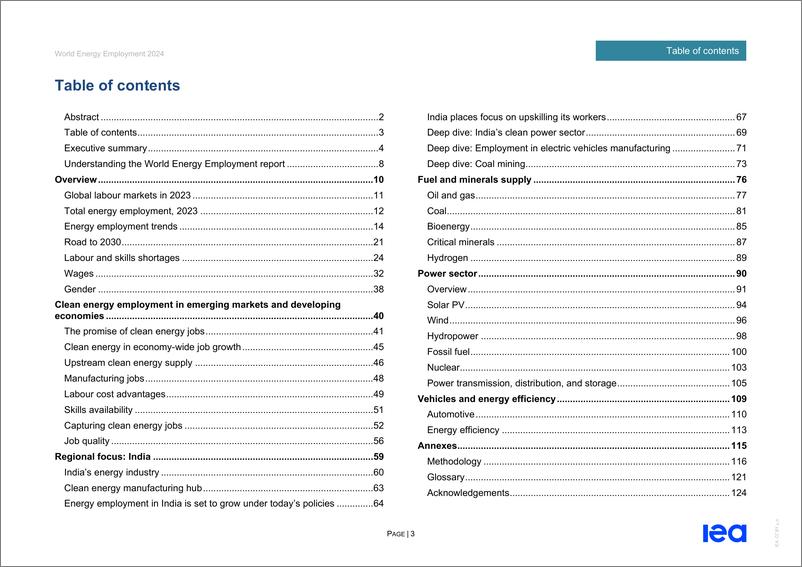 《2024年世界能源产业就业报告（英文版）-IEA国际能源署-129页》 - 第4页预览图