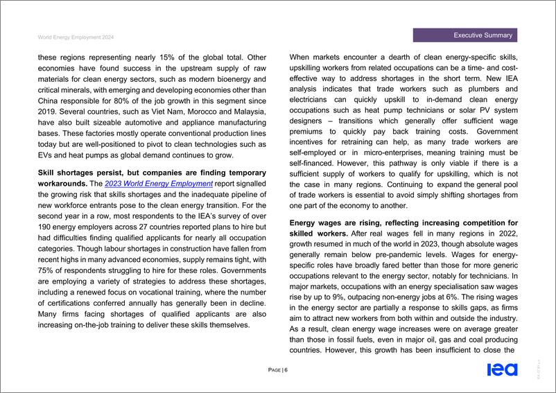 《2024年世界能源产业就业报告（英文版）-IEA国际能源署-129页》 - 第7页预览图