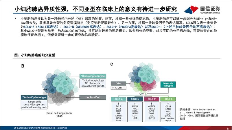 《国信证券-医药生物行业寻找未被满足的临床需求-2-_小细胞肺癌_TCE_ADC有望改写治疗范式》 - 第6页预览图