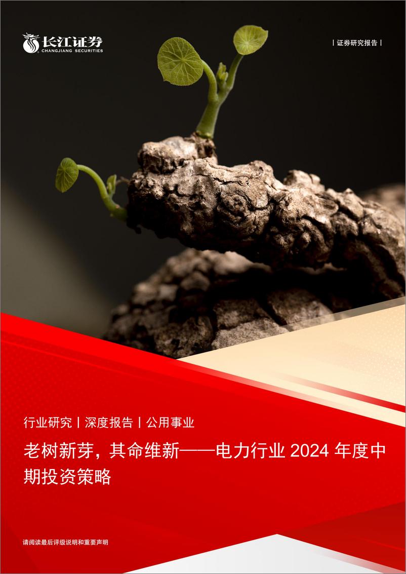 《电力行业2024年度中期投资策略：老树新芽，其命维新-240630-长江证券-40页》 - 第1页预览图