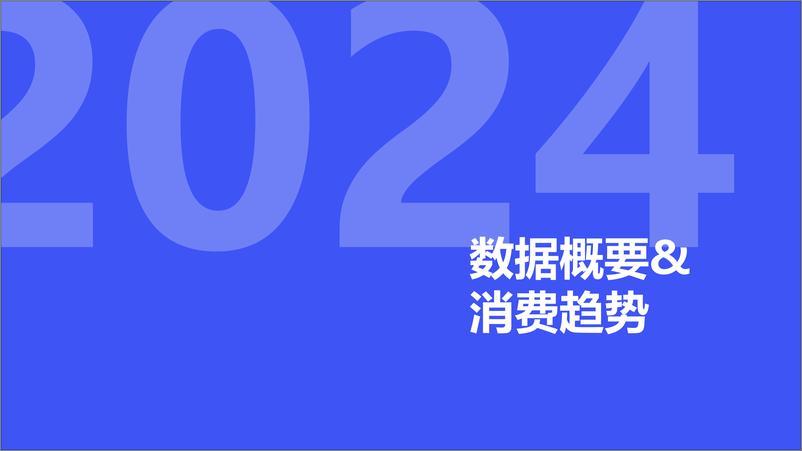 《2024年一季度消费新潜力白皮书》 - 第3页预览图