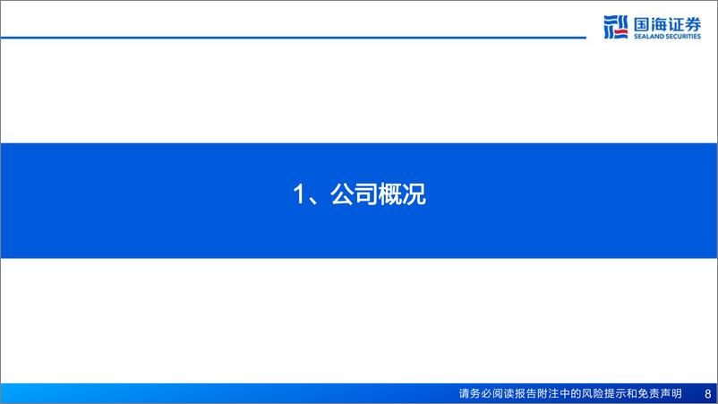 《国海证券-公司深度报告：全球电商SaaS龙头，深耕电商生态拓宽边界》 - 第8页预览图