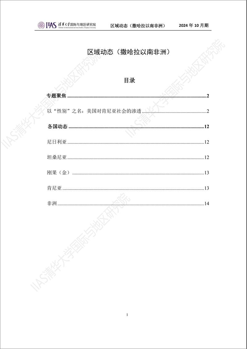 《撒哈拉以南非洲地区2024年10月期：以“性别”之名：美国对肯尼亚社会的渗透-14页》 - 第1页预览图