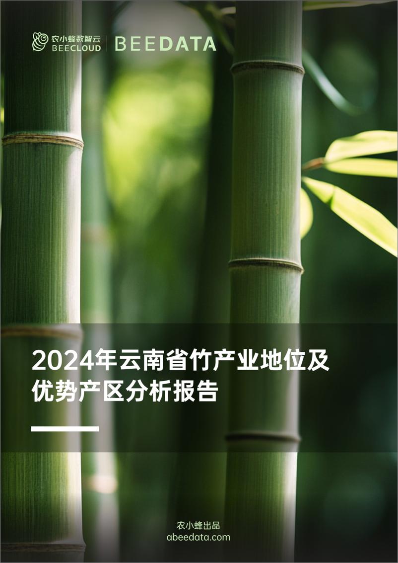 《农小蜂-2024年云南省竹产业地位及优势产区分析报告-21页》 - 第1页预览图