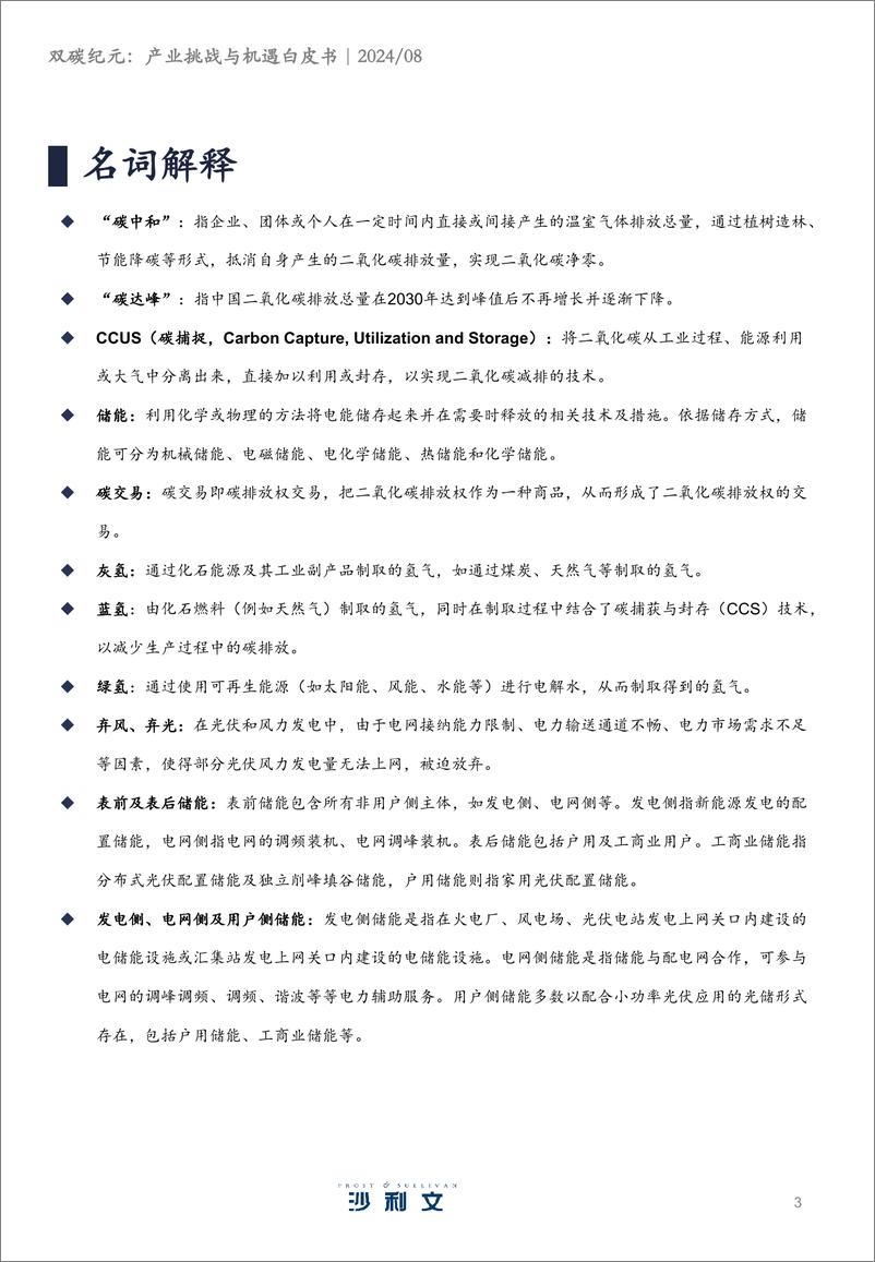 《双碳纪元：产业机遇与挑战—中国双碳行业发展白皮书-沙利文-2024.8-99页》 - 第3页预览图