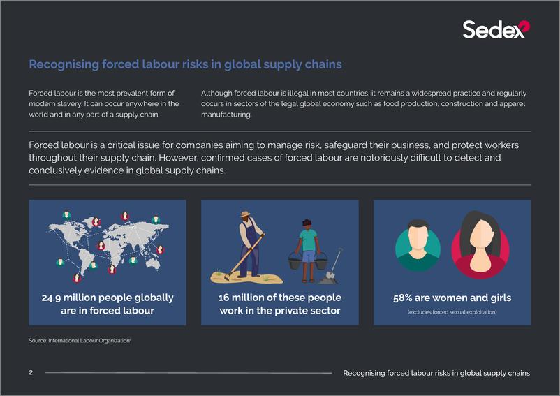 《Sedex：recognising forced labour risks in global supply chains（英文版）》 - 第2页预览图
