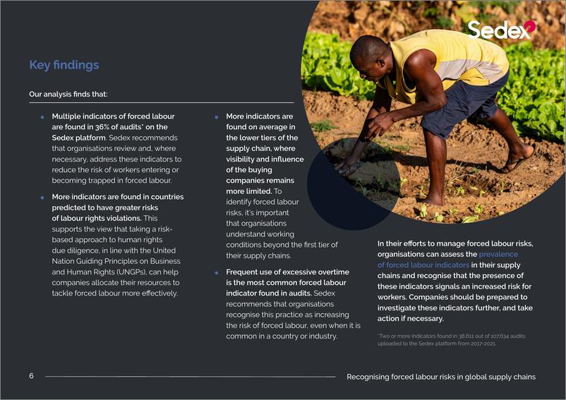 《Sedex：recognising forced labour risks in global supply chains（英文版）》 - 第6页预览图