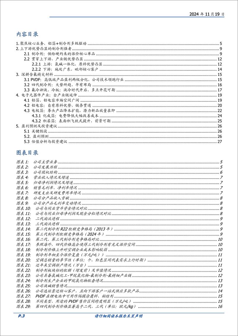 《东阳光(600673)化工材料%2b铝箔双擎驱动，制冷剂强者破茧化蝶-241119-国盛证券-29页》 - 第3页预览图