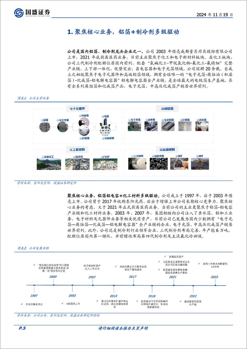 《东阳光(600673)化工材料%2b铝箔双擎驱动，制冷剂强者破茧化蝶-241119-国盛证券-29页》 - 第5页预览图