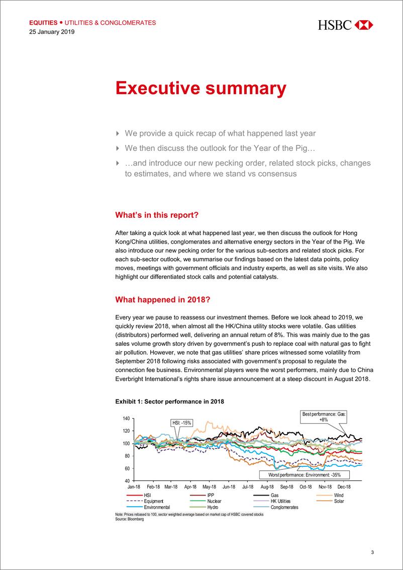 《汇丰银行-中国-公用事业行业-中国公用事业2019年展望：猪年菜单的变化-2019.1.25-160页》 - 第4页预览图