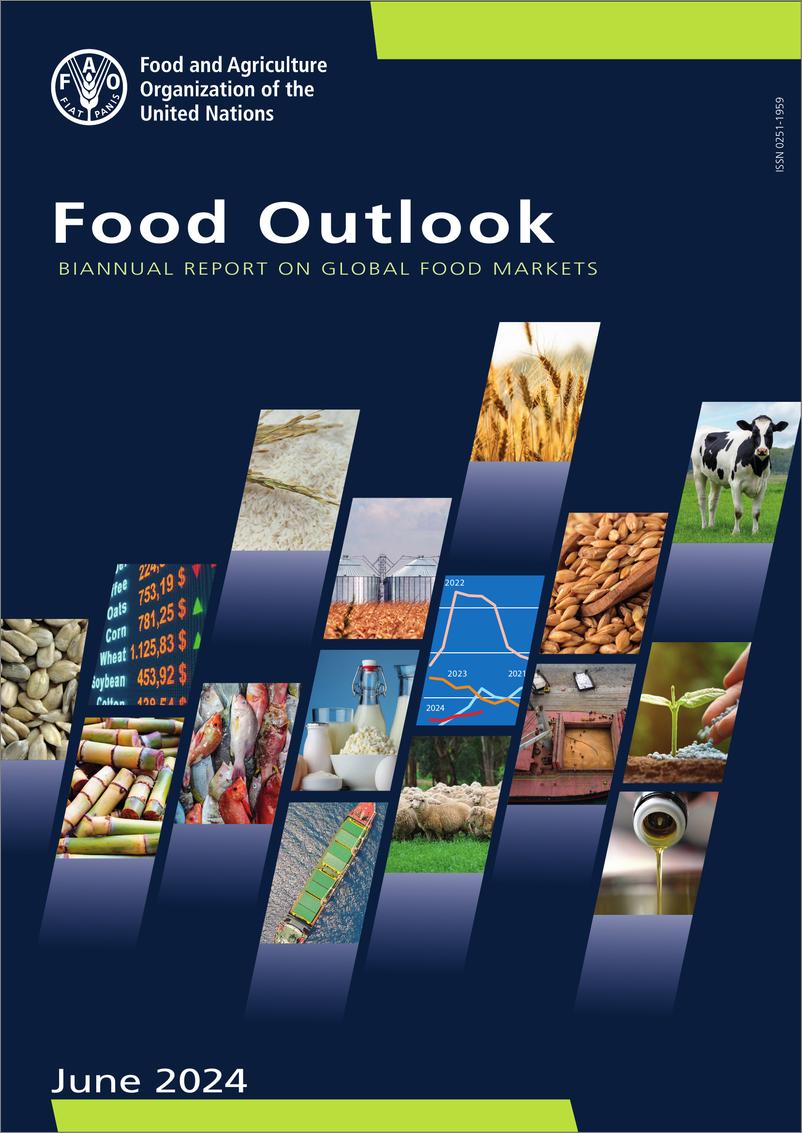 《粮食展望——全球粮食市场半年报告（英文）-144页》 - 第1页预览图