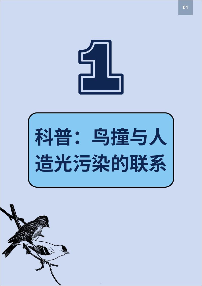 《2024全国防鸟撞行动网络年度报告-2024-70页》 - 第5页预览图