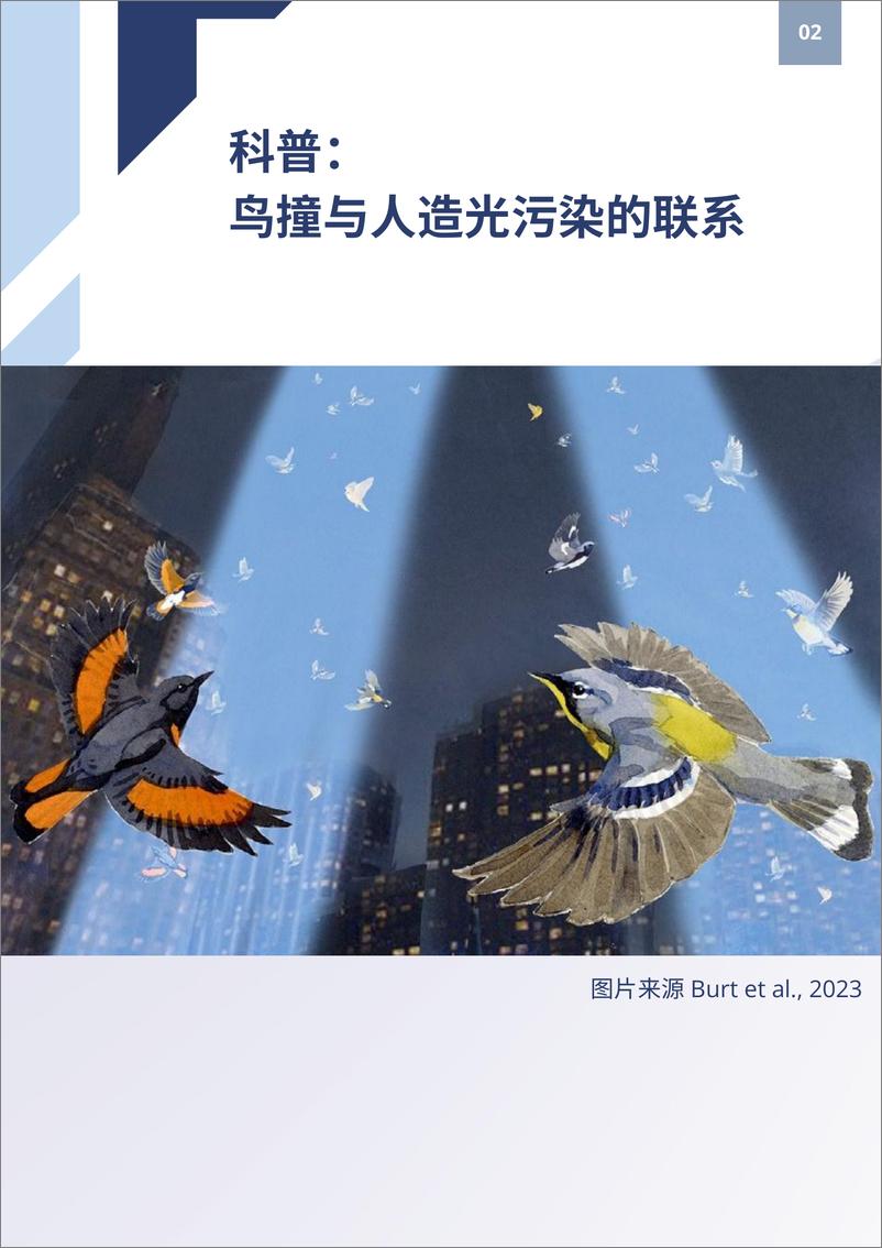 《2024全国防鸟撞行动网络年度报告-2024-70页》 - 第6页预览图