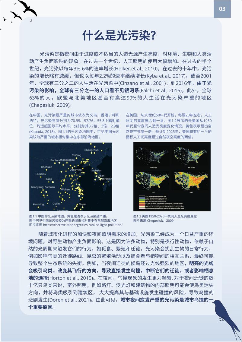 《2024全国防鸟撞行动网络年度报告-2024-70页》 - 第7页预览图