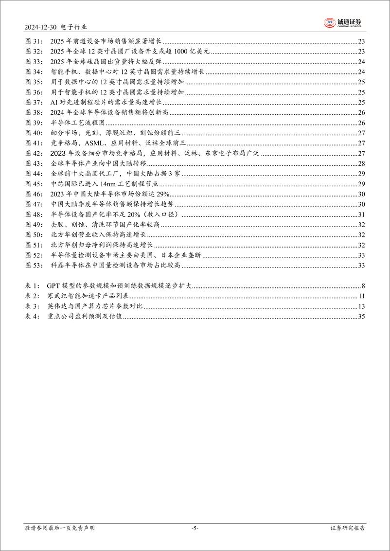 《2025年电子行业投资策略：AI%2b国产化双轮驱动，关注消费电子、半导体产业链投资机遇-诚通证券-241230-38页》 - 第5页预览图