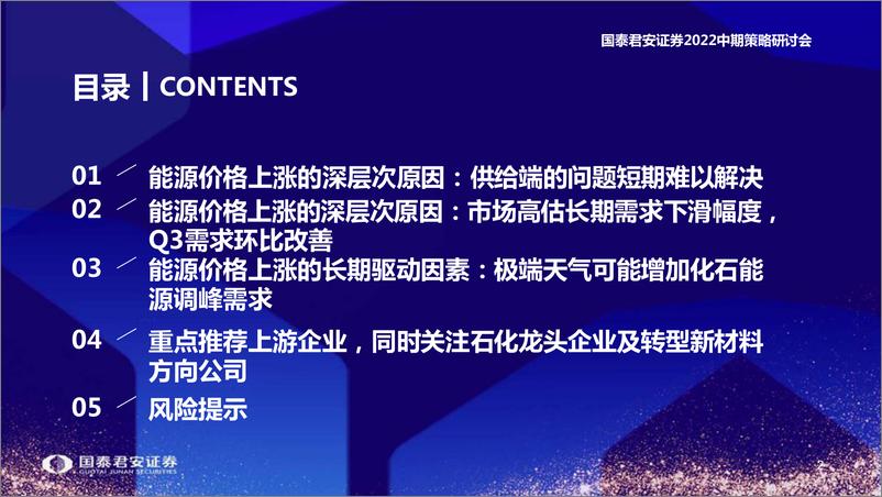 《石化行业2022中期策略研讨会：能源价格的深层次原因-20220615-国泰君安-50页》 - 第4页预览图