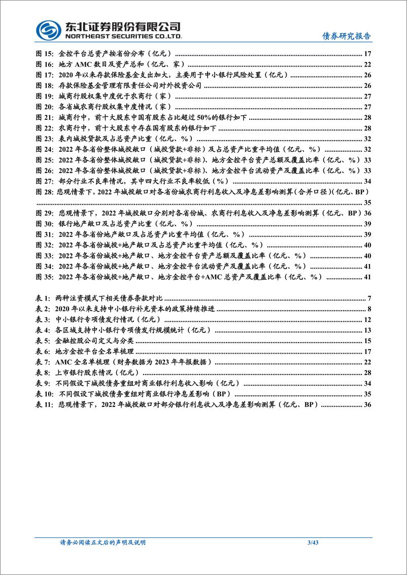 《信用策略专题报告：银行可以获得的外部支持有多少？-240709-东北证券-43页》 - 第3页预览图