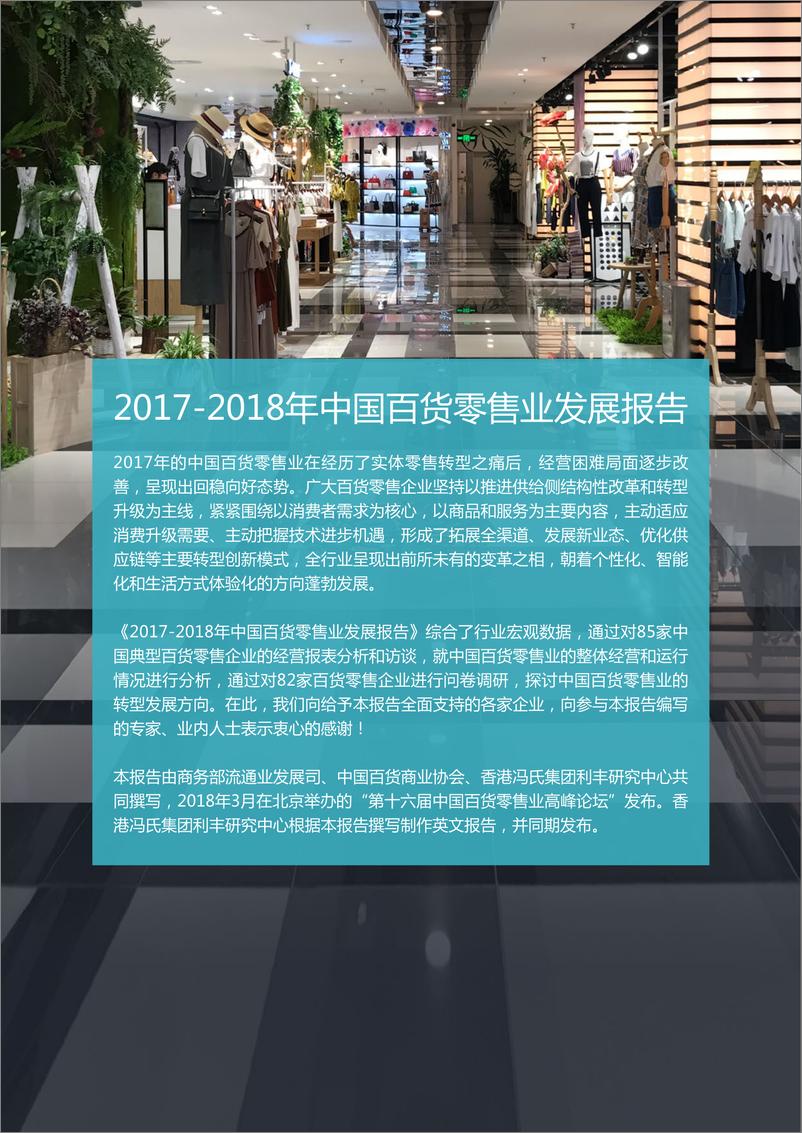 《商务部：2017-2018年中国百货零售业发展报告》 - 第3页预览图