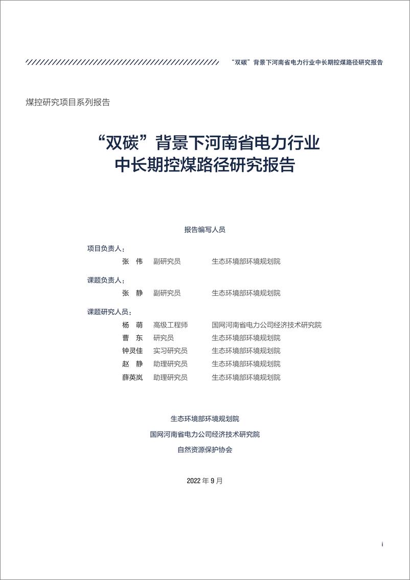 《“双碳”背景下河南省电力行业中长期控煤路径研究报告》 - 第3页预览图