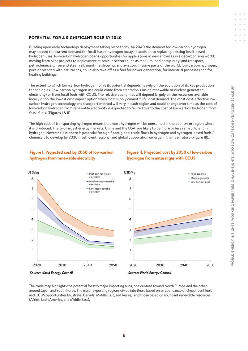 《低碳氢规模扩大的区域性洞察（英）-50页-WN9》 - 第5页预览图