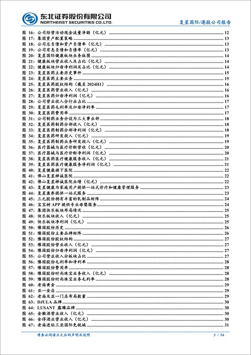 《复星国际(00656.HK)瘦身健体再出发，科技创新%26全球化布局驱动成长-241115-东北证券-54页》 - 第3页预览图