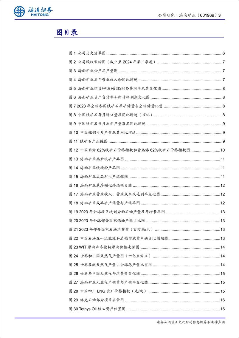 《海南矿业(601969)公司研究报告：“铁矿石%2b油气%2b锂”三轮驱动，海外布局再下一城-241215-海通证券-23页》 - 第3页预览图