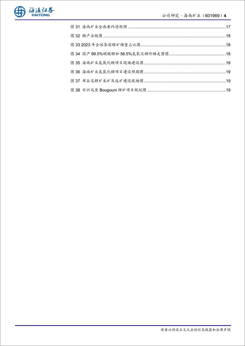 《海南矿业(601969)公司研究报告：“铁矿石%2b油气%2b锂”三轮驱动，海外布局再下一城-241215-海通证券-23页》 - 第4页预览图