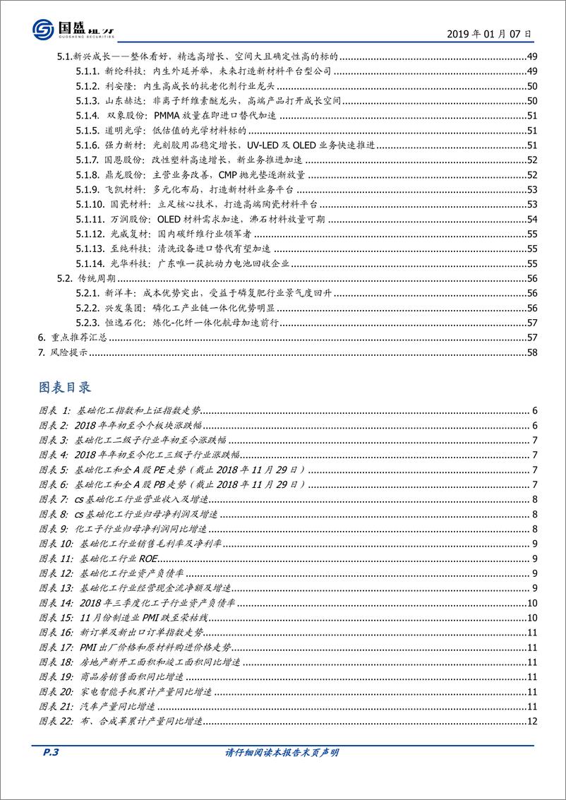 《化工行业策略：聚焦成长、布局新材料和精细化工-20190107-国盛证券-59页》 - 第4页预览图