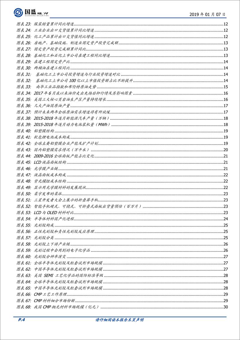 《化工行业策略：聚焦成长、布局新材料和精细化工-20190107-国盛证券-59页》 - 第5页预览图