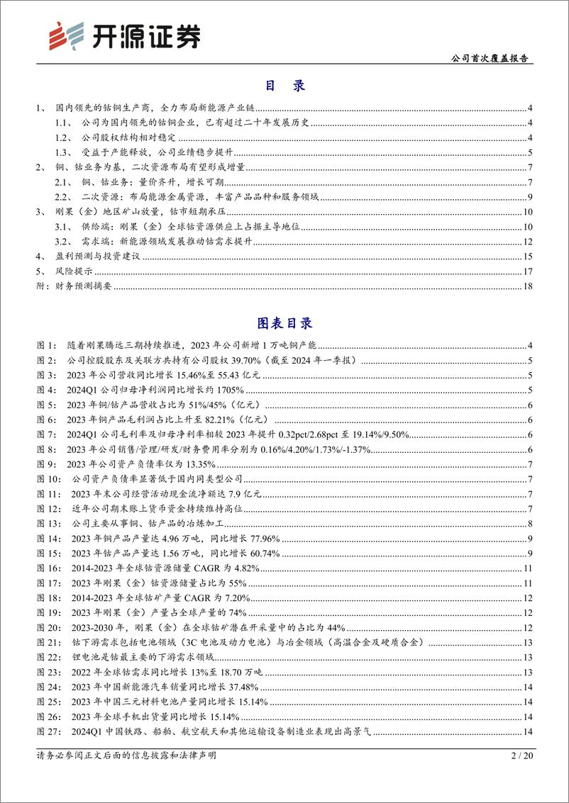 《腾远钴业(301219)公司首次覆盖报告：国内领先的钴、铜生产商，着力打造一体化布局-240718-开源证券-20页》 - 第2页预览图