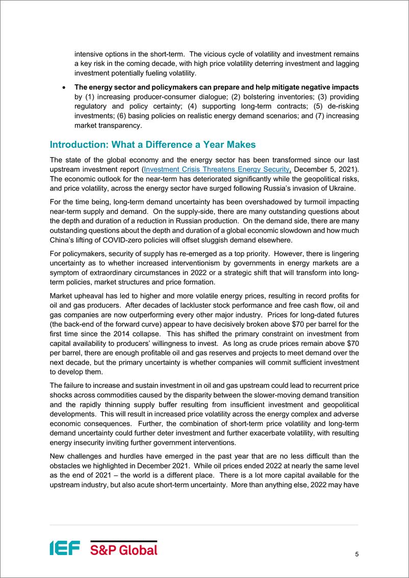 《IEF-市场不确定性导致投资需求上升（英）-2023.2-22页》 - 第6页预览图