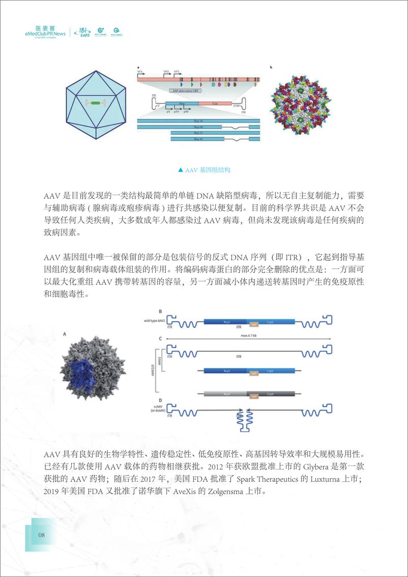 《医麦客：2023-2024基因治疗药物行业发展白皮书》 - 第8页预览图